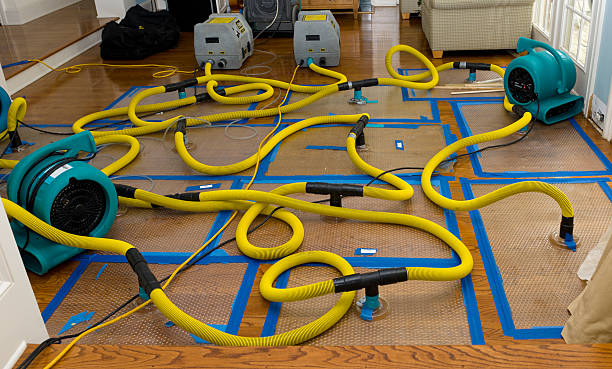Professional Storm Water Damage Restoration technician working in Pleasant Hill, PA